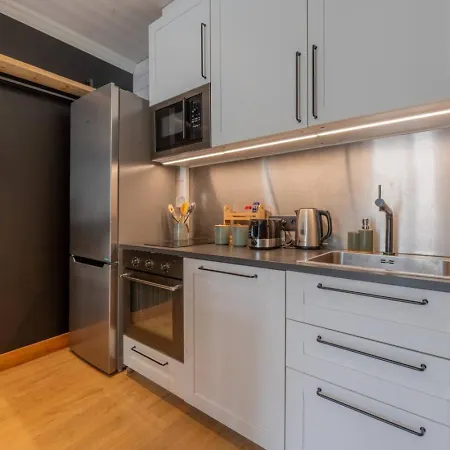 Appartement Straton - Cosy 1 Ch Modern Hypercentre Transport 150m Chamonix