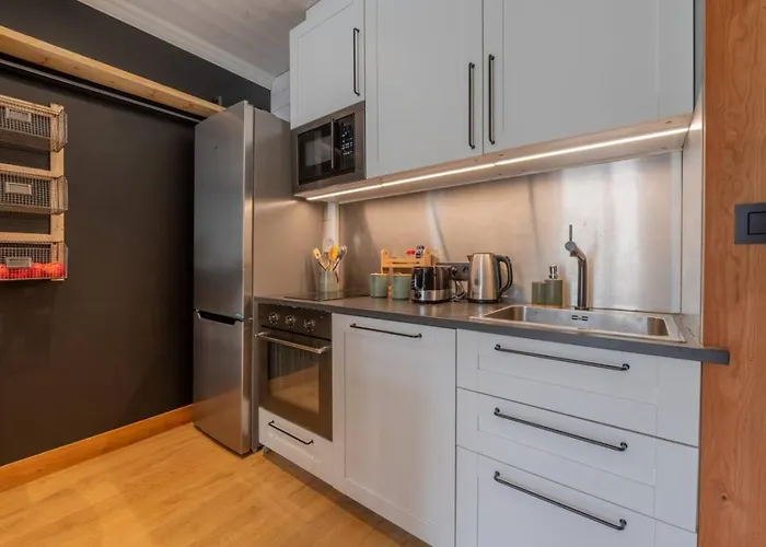 Appartement Straton - Cosy 1 Ch Modern Hypercentre Transport 150m Chamonix