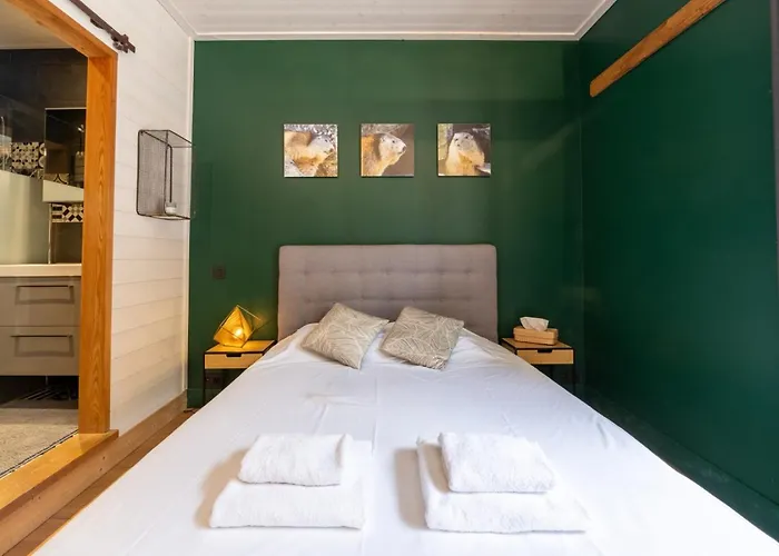 Appartement Straton - Cosy 1 Ch Modern Hypercentre Transport 150m Chamonix